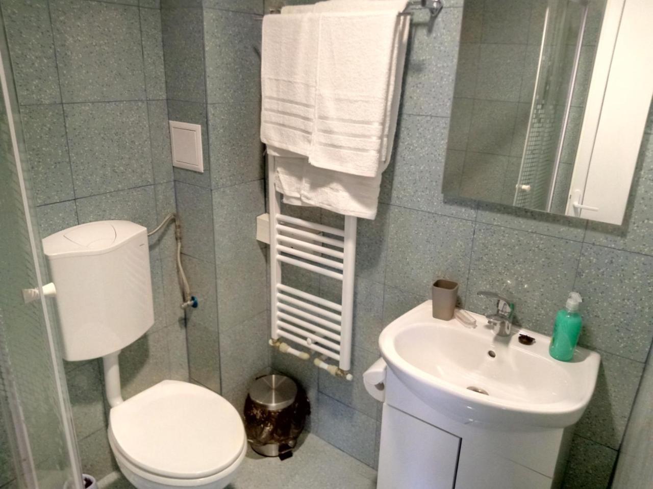 חונדוארה Camere De Inchiriat Carpati מראה חיצוני תמונה